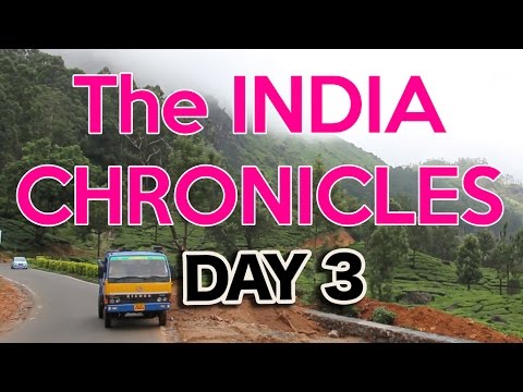 Kochi to Munnar By Local Bus - Travel India